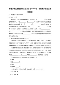 安徽省安庆市桐城市2022-2023学年八年级下学期期末语文试卷