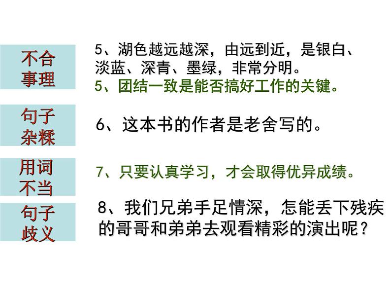 中考语文二轮专题复习：病句修改课件PPT第4页