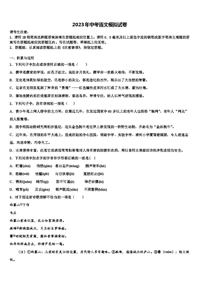 2022-2023学年四川省内江市隆昌三中学中考语文模拟试题含解析01