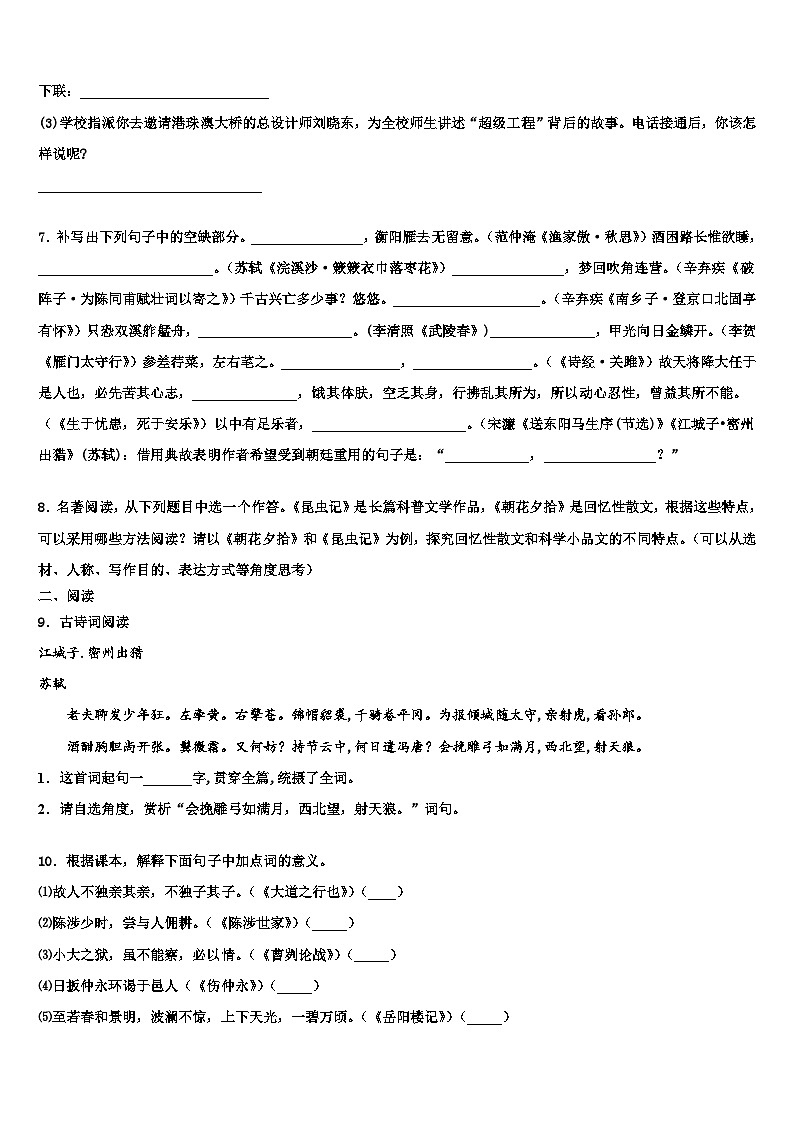 2022-2023学年下期湖南岳阳市城区达标名校中考一模语文试题含解析03