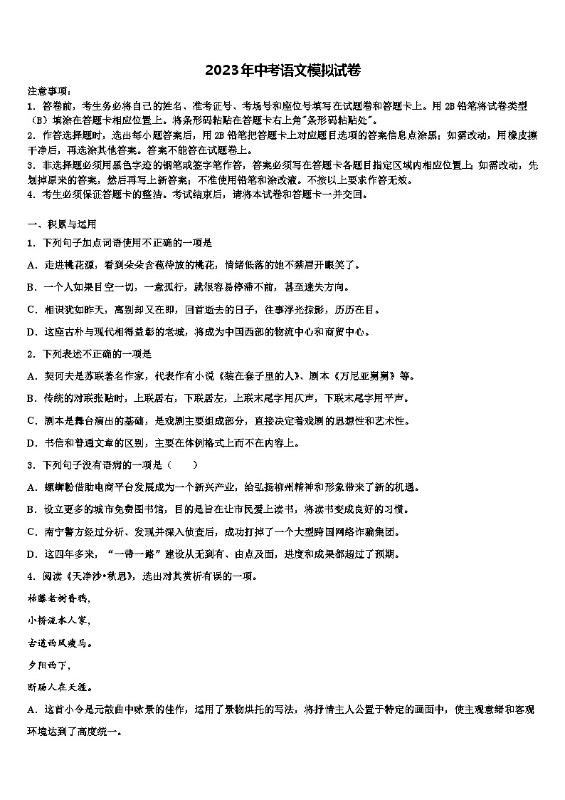 2022-2023学年云南省昭通市名校中考语文模拟试题含解析01