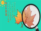 2023七年级语文上册第四单元14走一步再走一步精品课件新人教版