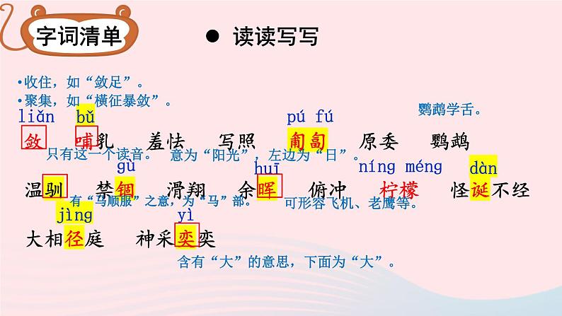 17 动物笑谈【考点精讲版】第7页