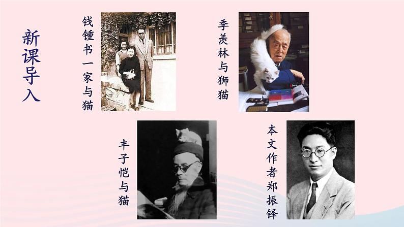 2023七年级语文上册第五单元16猫第一课时课件新人教版第5页
