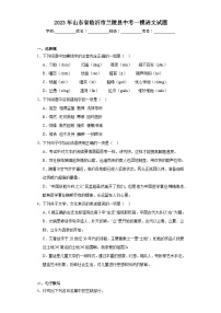 2023年山东省临沂市兰陵县中考一模语文试题（含解析）