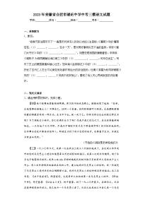 2023年安徽省合肥市琥珀中学中考三模语文试题（含解析）
