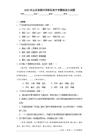 2023年山东省滨州市阳信县中考模拟语文试题（含解析）
