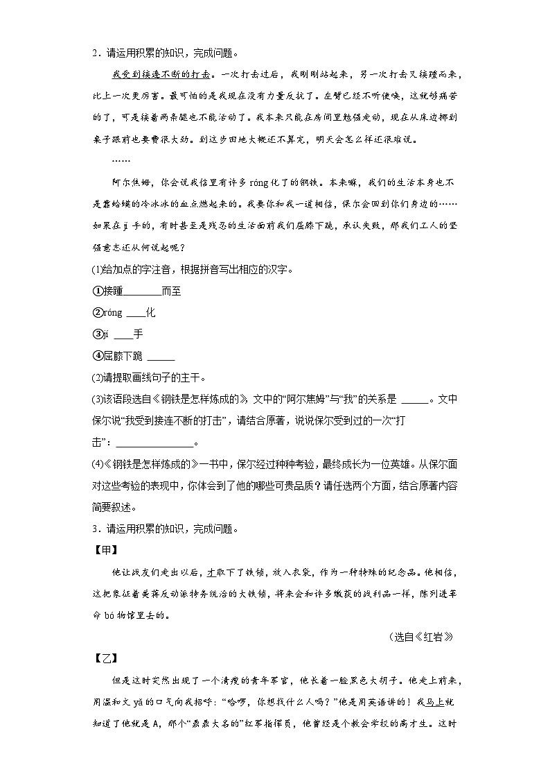 2023年安徽省芜湖市无为县部分学校中考四模语文试题（含解析）02