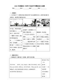 2023年福建省三明市宁化县中考模拟语文试题（含解析）