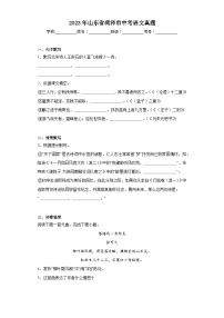 2023年山东省菏泽市中考语文真题（含解析）
