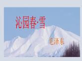 2023-2024 部编版语文九年级上册 1《沁园春·雪》课件+教案+学案