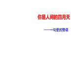 2023-2024 部编版语文九年级上册 5《你是人间的四月天》课件+教案+学案