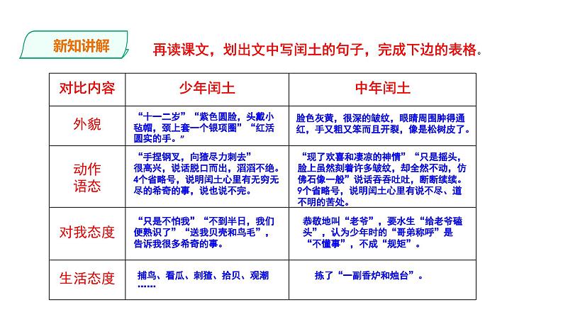 2023-2024 部编版语文九年级上册 15《故乡》第二课时课件+教案+学案04