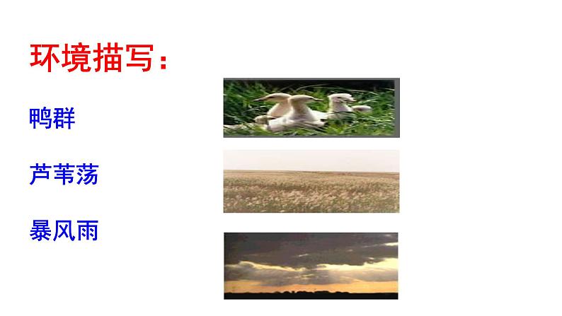 2023-2024 部编版语文九年级上册 17 《孤独之旅》第二课时课件+学案+教案（表格式）07