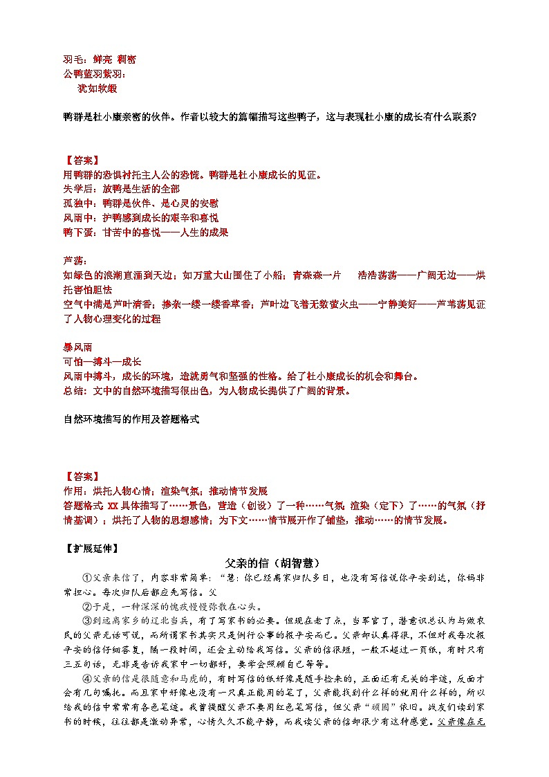 2023-2024 部编版语文九年级上册 17 《孤独之旅》第二课时课件+学案+教案（表格式）02