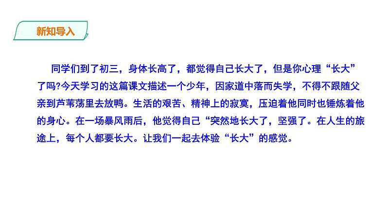 2023-2024 部编版语文九年级上册 17《孤独之旅》第一课时课件+学案+教学设计（表格式）02