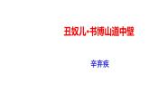 2023-2024 部编版语文九年级上册 九年级语文上册第六单元课外古诗词诵读《丑奴儿·书博山道中壁》课件+教案+学案