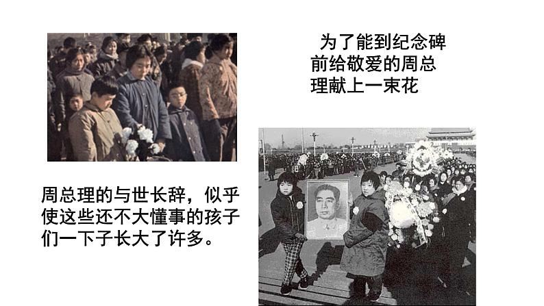 2023-2024 部编版语文九年级上册 2《周总理，你在哪里》 课件+教案+学案04