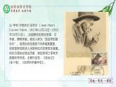 21.蝉课件- 部编版（五四制）八年级语文上册