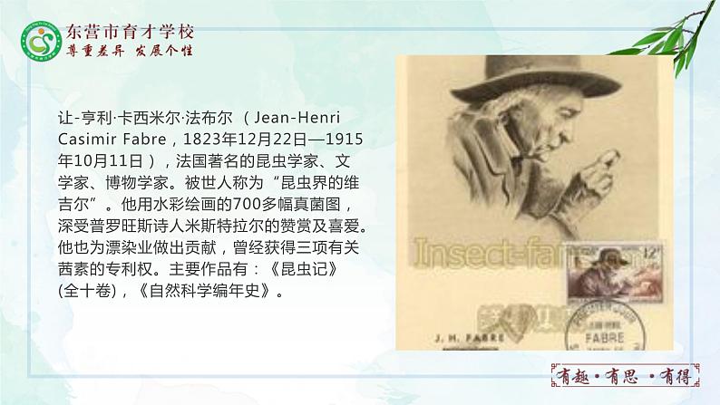 21.蝉课件- 部编版（五四制）八年级语文上册02