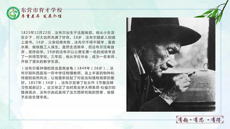 21.蝉课件- 部编版（五四制）八年级语文上册03