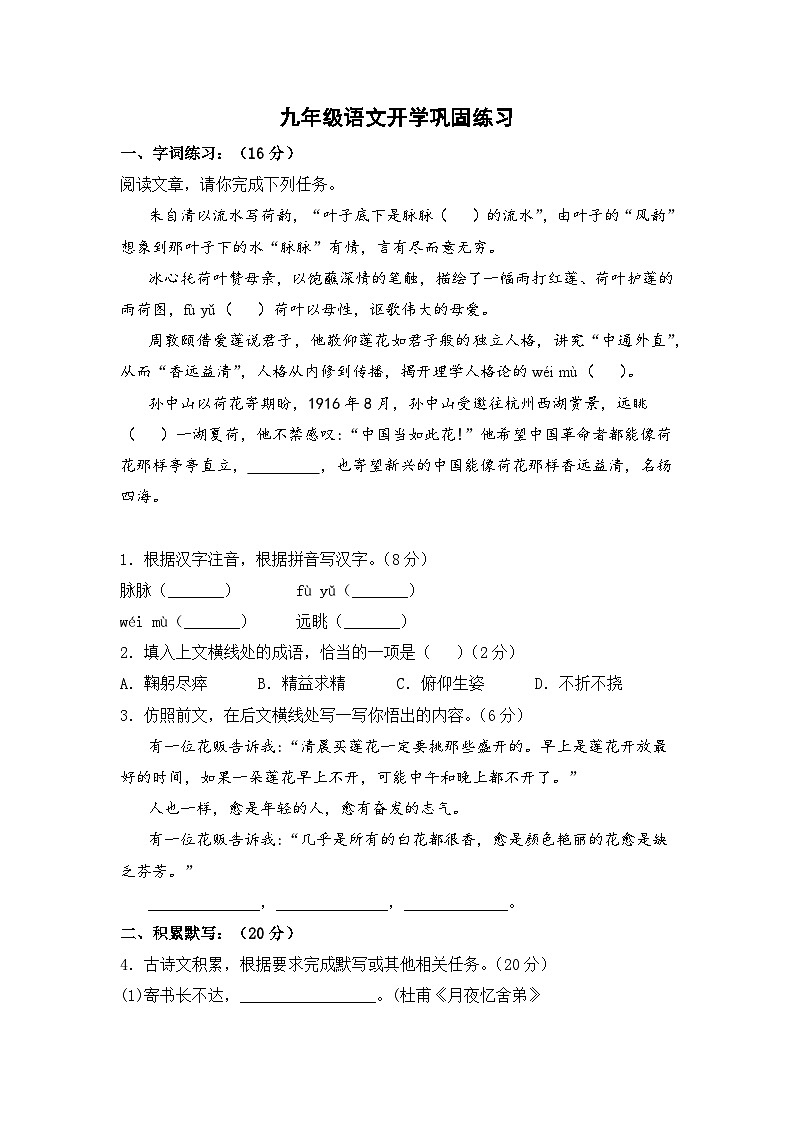 河南省南阳市内乡县灵山雷锋学校2023-2024学年九年级上学期开学语文试题第1页