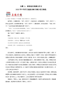 专题11：青春经历类满分作文-2023年中考作文速胜攻略与满分范文精选