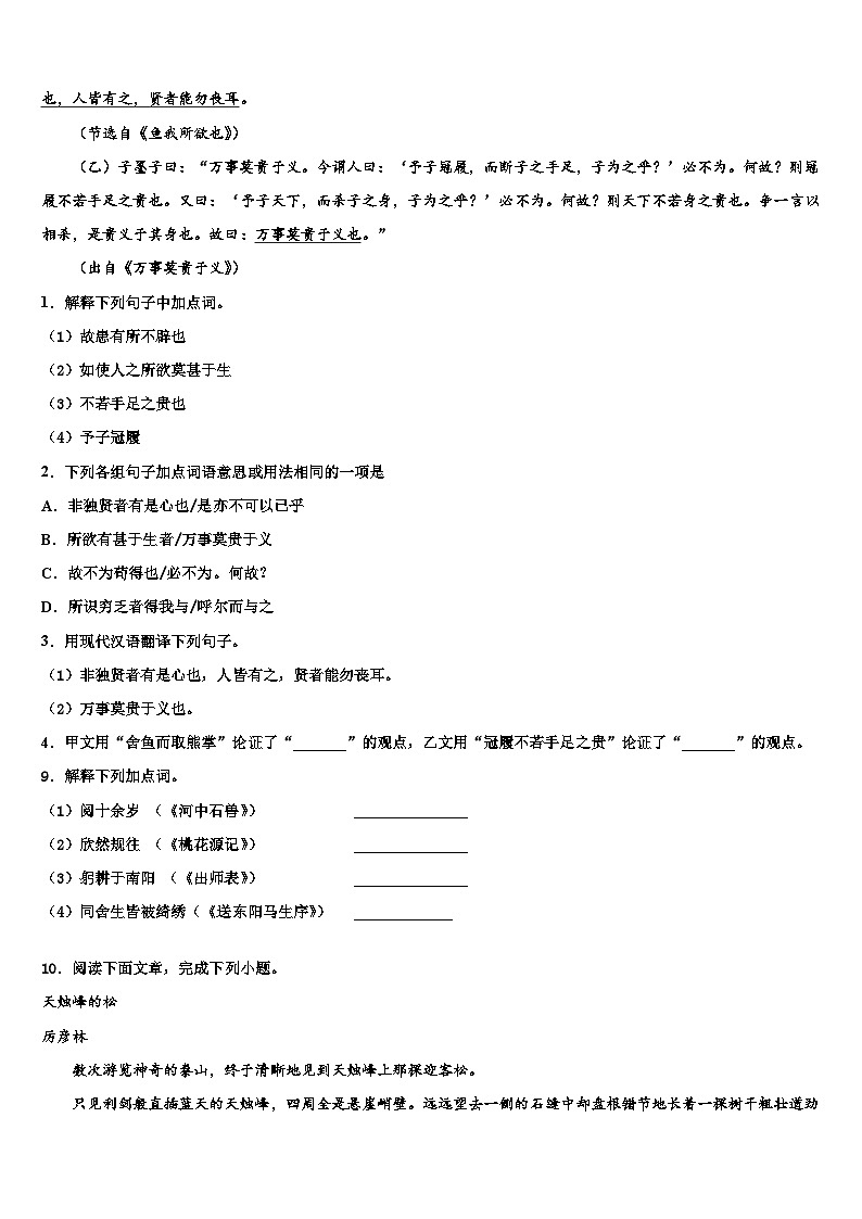 2023届【首发】山东省临沂市费县中考语文考试模拟冲刺卷含解析03