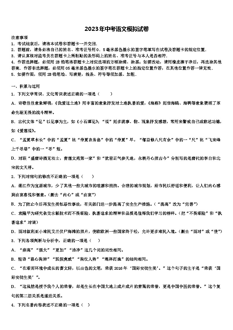 2023届福建省泉州市实验中学中考适应性考试语文试题含解析01