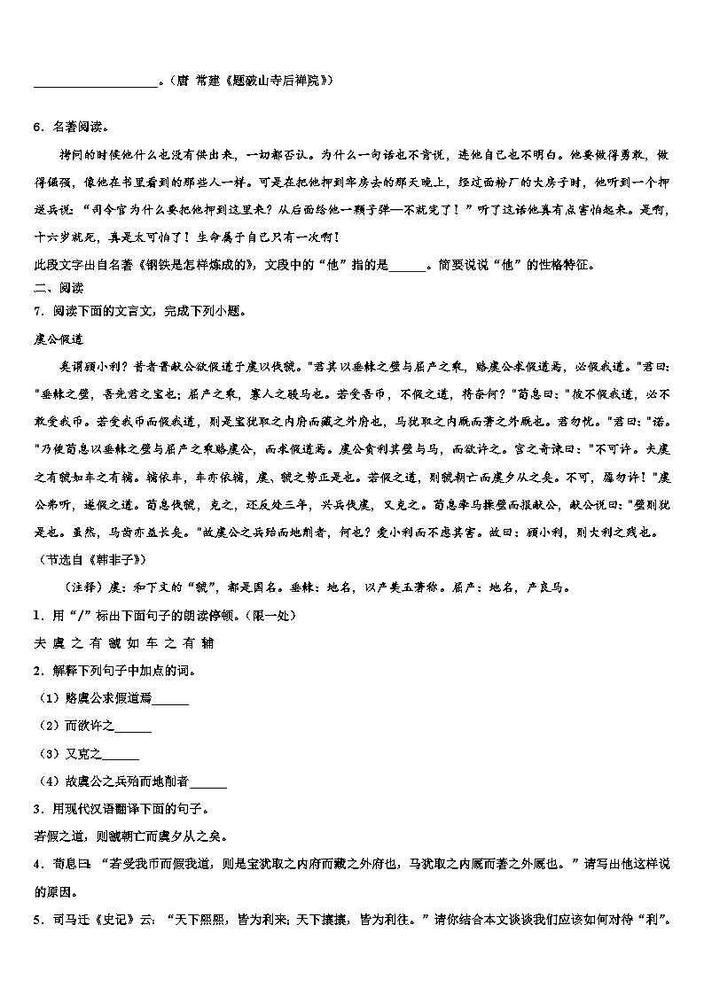 2023届广东省梅州市梅江区实验中学初中语文毕业考试模拟冲刺卷含解析02