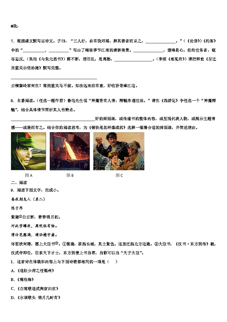 2023届广东省深圳实验校中考猜题语文试卷含解析03