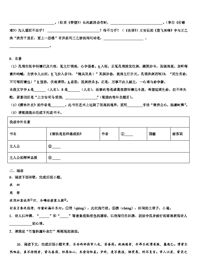 2023届广东省深圳市龙岗实验中学中考适应性考试语文试题含解析03