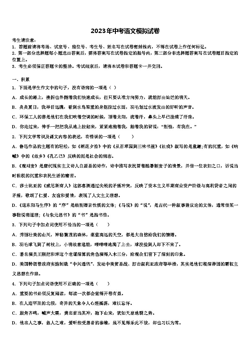2023届广东省深圳市龙华实验学校中考五模语文试题含解析01