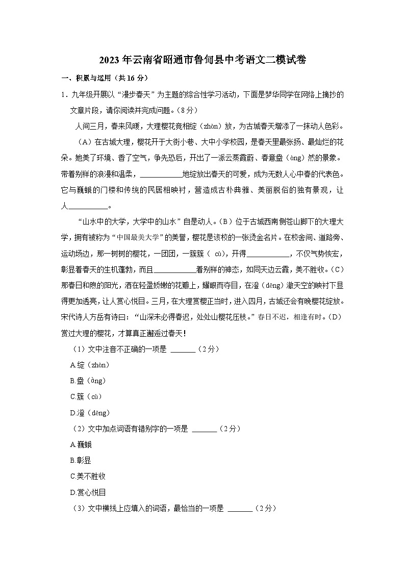 2023年云南省昭通市鲁甸县中考二模语文试卷（含答案）01