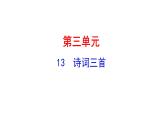 3.13  诗词三首 课件 2023-2024学年部编版（五四学制）语文九年级上册