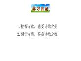 3.13  诗词三首 课件 2023-2024学年部编版（五四学制）语文九年级上册