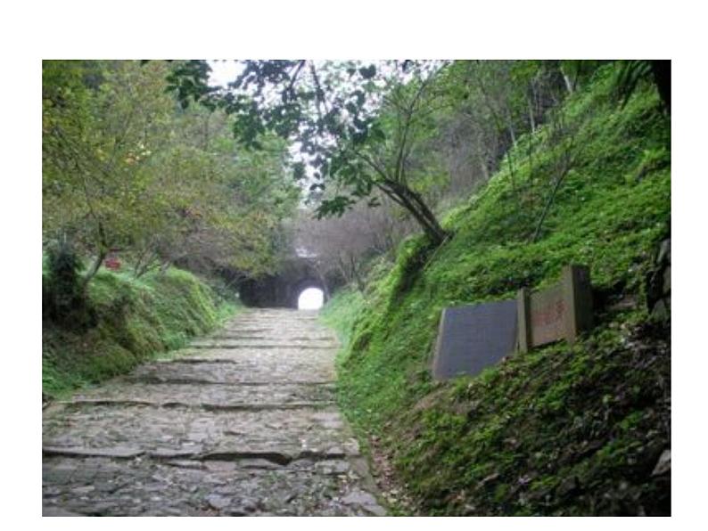 2﹡ 梅岭三章第3页