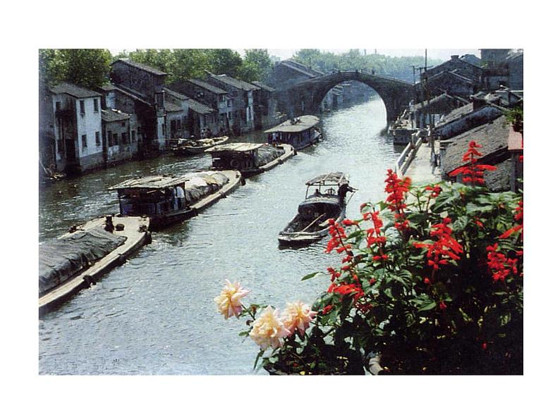 8﹡蒲柳人家（节选）第5页