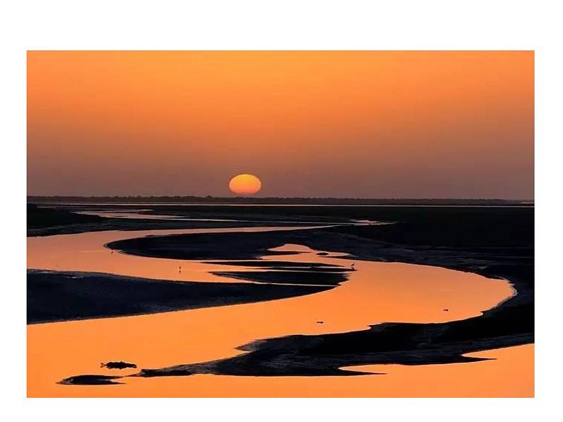 4.16﹡ 驱遣我们的想象 课件 2023-2024学年部编版（五四学制）语文九年级下册02