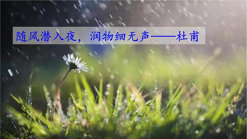 初中语文九年级上册6 我看教学课件（2023秋）第1页