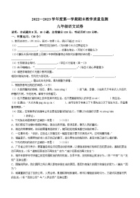 广东省湛江市麻章区2022-2023学年九年级上学期期末语文试题