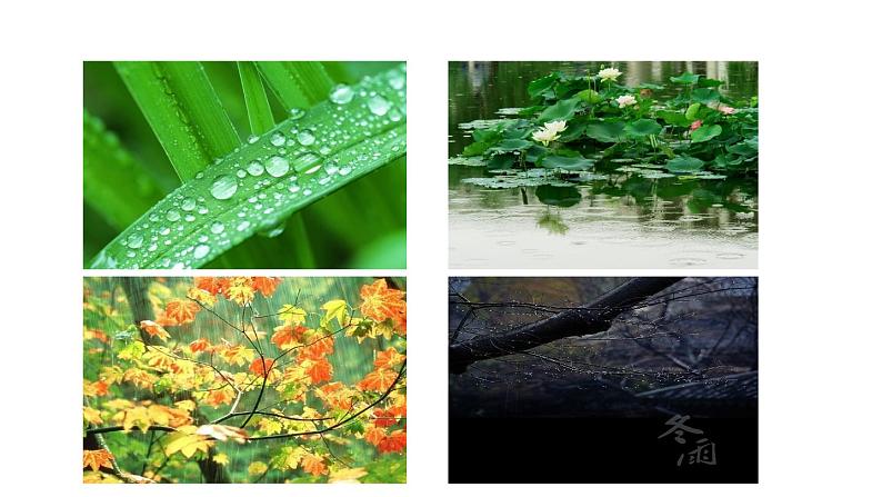 部编版七年级语文上册3《雨的四季》（精品课件）第2页