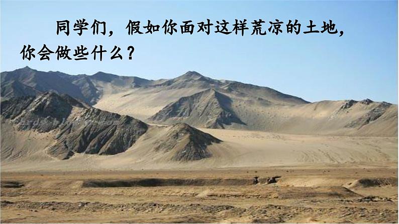 部编版七年级语文上册13《植树的牧羊人》（精品课件）第1页