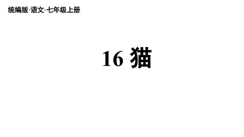 部编版七年级语文上册16《猫》课件PPT04