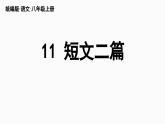 部编版八年级语文上册11《短文二篇》课件PPT