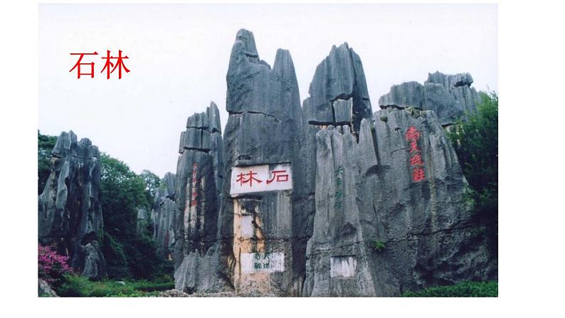 部编版八年级语文上册17《昆明的雨》课件PPT第3页