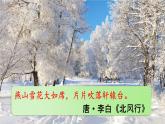 部编版九年级语文上册1 沁园春·雪课件PPT