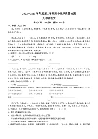 广西壮族自治区北海市合浦县2022-2023学年九年级下学期期中语文试题