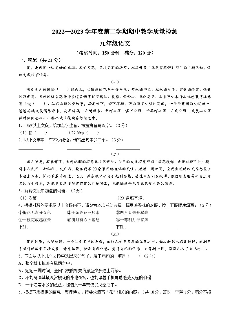 广西壮族自治区北海市合浦县2022-2023学年九年级下学期期中语文试题第1页