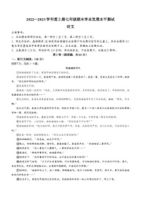 四川省泸州市龙马潭区2022-2023学年七年级上学期期末语文试题